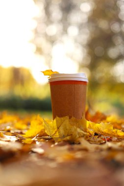 Eko-Sıfır atık kağıt bardak, güneşli sonbahar parkında sıcak içecek, kahve ya da çay ile birlikte alınır. Arka planda renkli yapraklar dökülüyor. Soğuk havada mevsimlik sıcak içecekler.