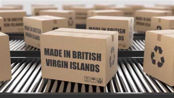 Kartong Med Made British Virgin Islands Text Rulltransportör Fabrikens Produktionslinje — Stockvideo