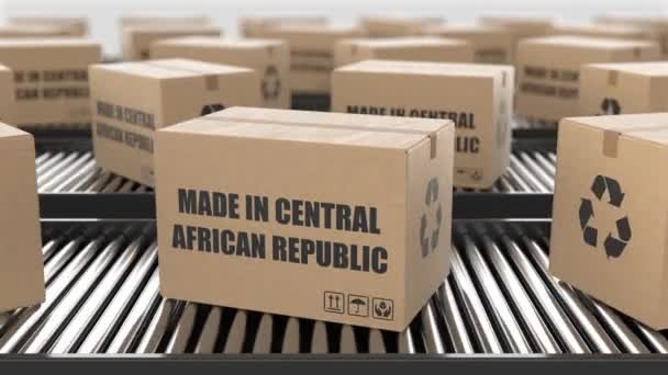 Orta Afrika Cumhuriyeti Yapımı Karton Kutular Paten Taşıyıcı Üzerinde Metin — Stok video