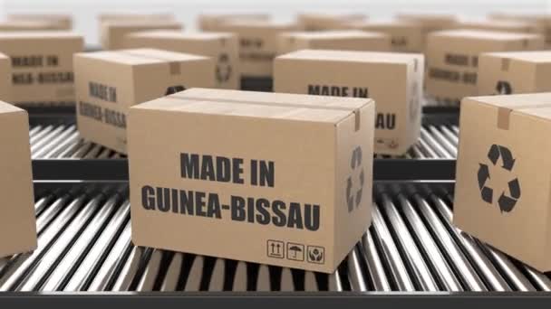 Kartonnen Dozen Met Made Guinea Bissau Tekst Rollenbaan Fabriek Productielijn — Stockvideo
