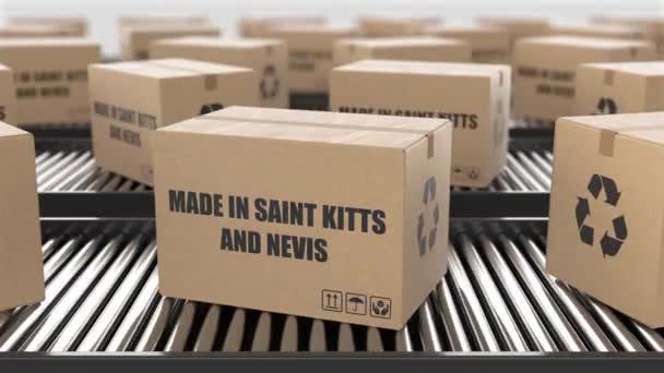 Cajas Cartón Con Texto Made Saint Kitts Nevis Transportador Rodillos — Vídeos de Stock