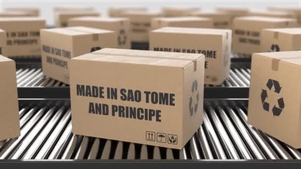 Kotak Kardus Dengan Made Sao Tome Dan Principe Teks Roller — Stok Video