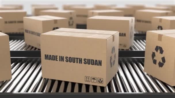 纸板箱与南苏丹制造的文本在滚子输送机上 工厂生产线仓库 出口或交付概念 3D渲染动画 无缝圈 — 图库视频影像