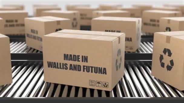 Kartong Med Made Wallis Och Futuna Text Rulltransportör Fabrikens Produktionslinje — Stockvideo
