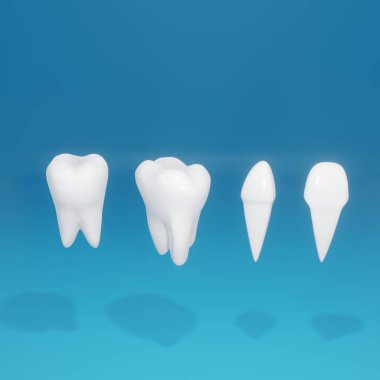 all types of human teeth 3d render image