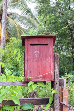 Sri Lanka ormanındaki posta kutusu. Seçici odak.
