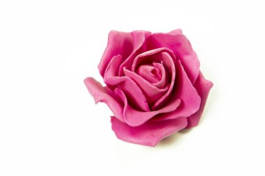 Beyaz arka planda pembe gül, stüdyo çekimi, sevgililer günü kartı