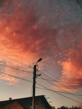 Pembe bir günbatımı manzarası, yüksek binalar ve ağaçlar.