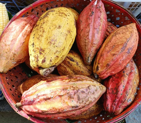 印尼巴厘岛的一个露天市场上出售色彩艳丽的成熟可可豆 — 图库照片