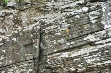 Çapraz çatlaklar, çizgiler ve zıt liken yamalarıyla doğal taş yatay arkaplan