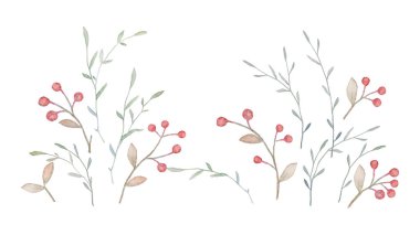 Suluboya Kırmızı Böğürtlen, Suluboya Çiçek Seçimi, Suluboya Böğürtlen Clipart, Orman Çileği Çizimleri, Beyaz Arkaplan
