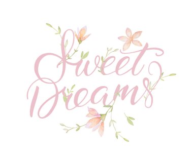 Tatlı Rüyalar Bebek Mektubu, Suluboya Yabani Çiçekler, Bebek Kartı Mektubu, Beyaz Arkaplan, Yazdırma Kalitesi