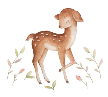 Küçük Geyik Uyuyan Suluboya, Yabani Çiçekler Suluboya, Önceden Yapılmış Beste, Bebek Clipart