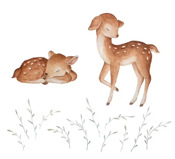 Kleine Hirsche Schlafend Aquarell Blumen Gras Illustrationen Baby Clipart Weißer — Stockfoto