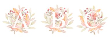 Sonbahar harfleri ABC. Bitki elementleriyle suluboya harfler. Cinsiyet Tarafsız Bitkiler Alfabesi. Davetiye Dekorasyonu. Sonbahar Bitkileri Suluboya