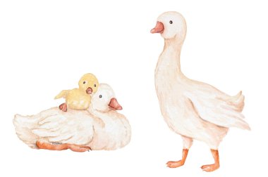 Bebek Suluboya Kek Sanatı, Kaz Boyası Kek Sanatı, Şirin Bebek Hayvanlar Seti, Suluboya Çiftlik Hayvanları Resimleri