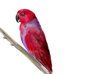 Stunning  llustration of a vibrant red parrot, a lilac-breasted roller, and a majestic flamingo. Perfect for wildlife enthusiasts, tropical art lovers, and nature-inspired decor. clipart