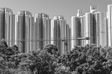 Hong Kong şehrindeki inşaat alanında yüksek binalar ve vinçler var.