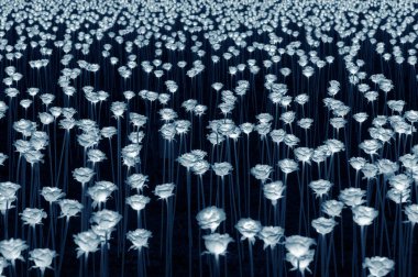 Yapay ışık çiçeği. Açık gül çiçekleri gece aydınlandı. 