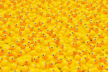 Havuzda yüzen sarı oyuncak ördek