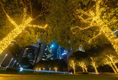Hong Kong 'un şehir merkezindeki aydınlık park.