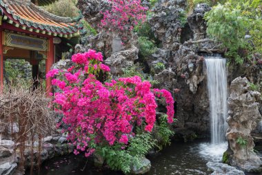 Köşk ve Hong Kong, Çin için oryantal bahçesinde şelale