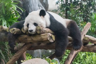 Hong Kong 'da kalabalık, yüksek katlı bir bina.