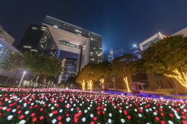 Hong Kong 'un şehir merkezindeki çiçek bahçesi aydınlandı.