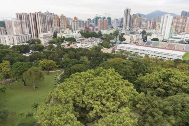 Hong Kong 'da yüksek binalar ve kamu parkı.