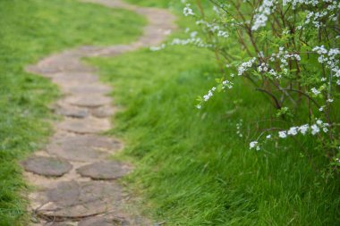 Süslü çiçek bahçesinde yol. Doğal arkaplan