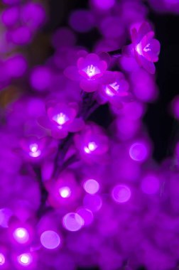 Bokeh ile LED çiçek bahçesi 