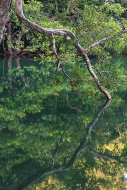 Hong Kong 'daki Shing Mun barajının Idyllic manzarası.