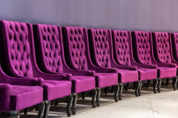 Row of vintage purple velvet armchair. Interior background