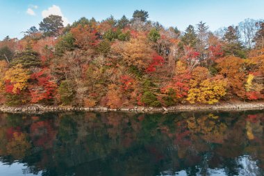 Nikko ulusal parkının sonbahar mevsiminde Japonya 'daki göl ve orman manzarası