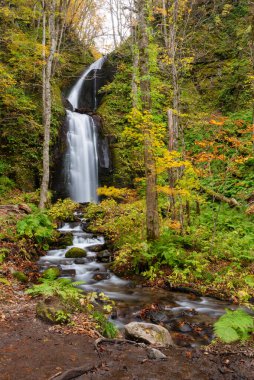 Oirase Stream, Aomori, Japonya 'daki Idyllic şelale manzarası