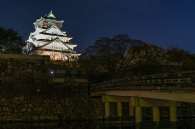 Japonya 'daki tarihi Osaka Kalesi' nin gece manzarası.
