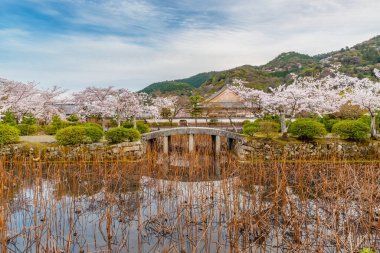 Arashiyama, Kyoto, Japonya 'daki Idyllic manzara
