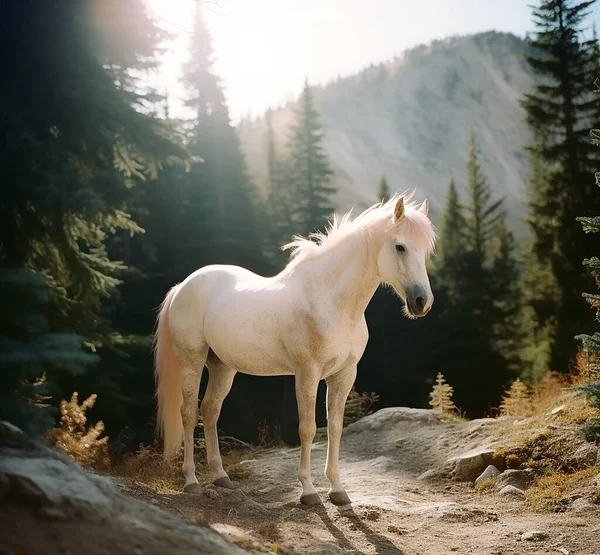 Красивая Лошадь Горах — стоковое фото