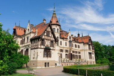 Asyalı bir parkta taşlarla çevrili bir bonsai ağacı. Asya tarzı bir parkta yeşil alanla çevrili rahatlatıcı bir atmosfer..