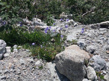 Trolltunga 'ya giden yol, kampanyanın pek çok yerinde yüksek dağlık dereler, dereler, kayalar, çamur kaluzhlar ve bataklık sularından geçiyor..