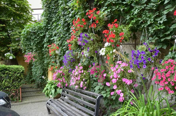 Belles Fleurs Dans Pot Sur Fond Arbres Verts Dans Jardin — Photo