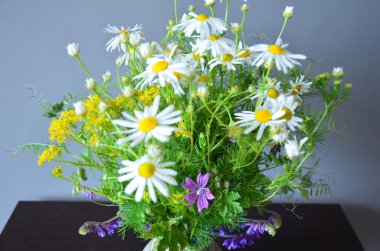 Beyaz arka planda bir buket kır çiçeği. 