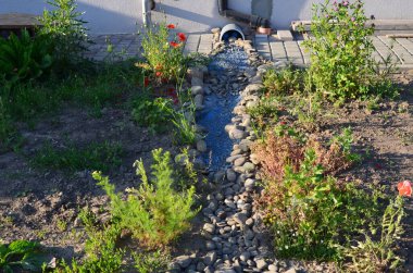 Çiçekli, taşlı, kayalı ve otlu küçük bir bahçe. 