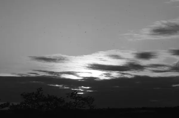 Ormanda güzel bir gün batımı