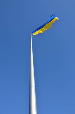 Rüzgarda Ukrayna bayrağı