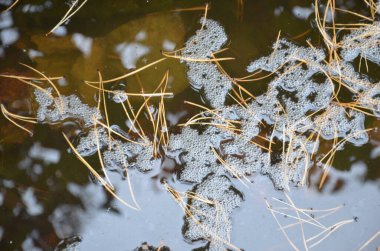 donmuş gölde buz kristalleri