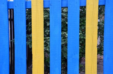 Ahşap duvar arkaplanı ve mavi çitleri var.