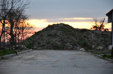 Ormanda terk edilmiş bir ev.