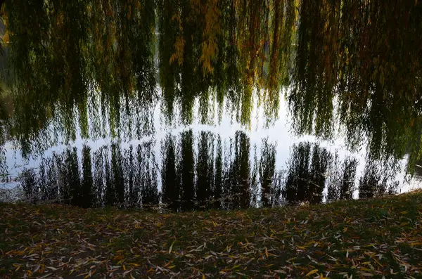 Parkın güzel manzarası