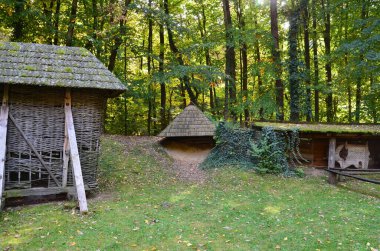 Ormanda terk edilmiş eski bir ev.